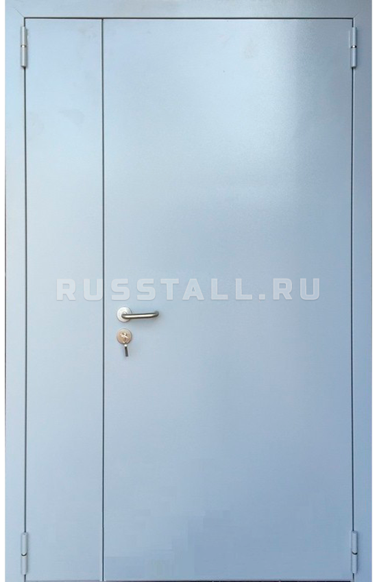 Двухстворчатая железная входная дверь RS125